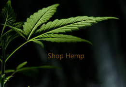 Shop Hemp